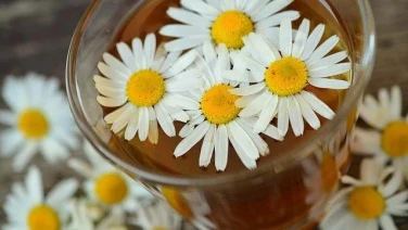 Beneficios del Té de manzanilla