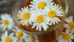 Beneficios del Té de manzanilla