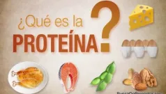 ¿Cuánta proteína necesitas?