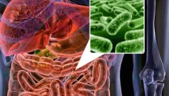 La flora intestinal se determina en el nacimiento