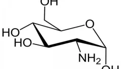 La glucosamina y la condroitina restauran el cartilago