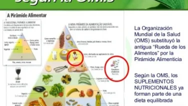 La nueva piramide alimenticia mas adaptada a nuestro tiempo