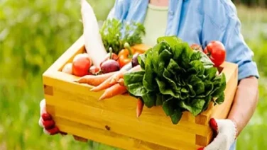 Los mejores alimentos para cuidar la salud ósea