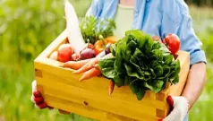 Los mejores alimentos para cuidar la salud ósea