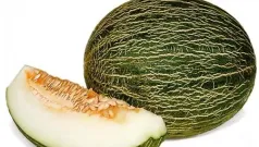 Nutrientes Y Beneficios Del Melon