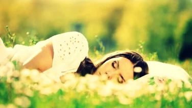 Plantas que te ayudan a dormir mejor