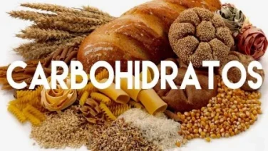 Que Son Los Carbohidratos Y Cuantos Necesito