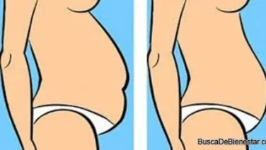 Que Tipo De Barriga Tienes y Como Reducirla
