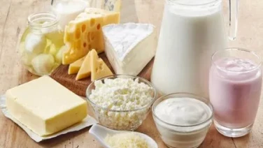 Redescubrir los productos fermentados