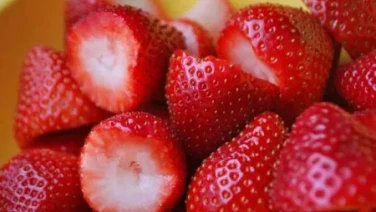 Semillas de la fresa contienen 81% de antioxidantes de la fruta