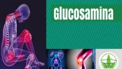 Una combinacion de cuatro sustancias activas naturales para tratar la artrosis