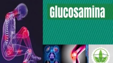 Una combinacion de cuatro sustancias activas naturales para tratar la artrosis