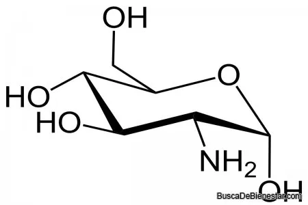La glucosamina y la condroitina restauran el cartilago