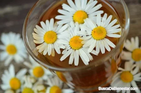 Beneficios del Té de manzanilla