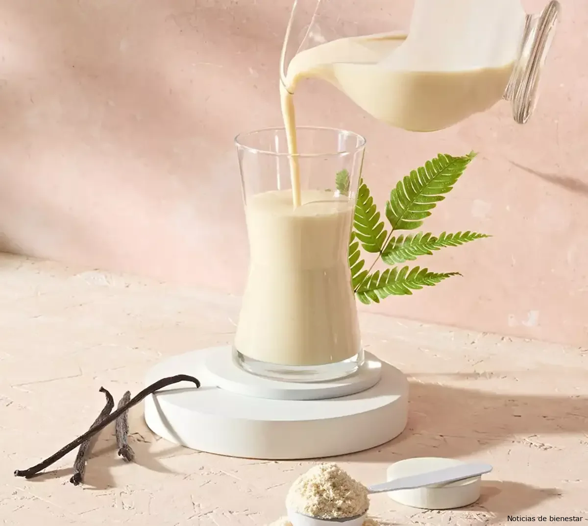 Bebida Vegana con Proteínas en Polvo